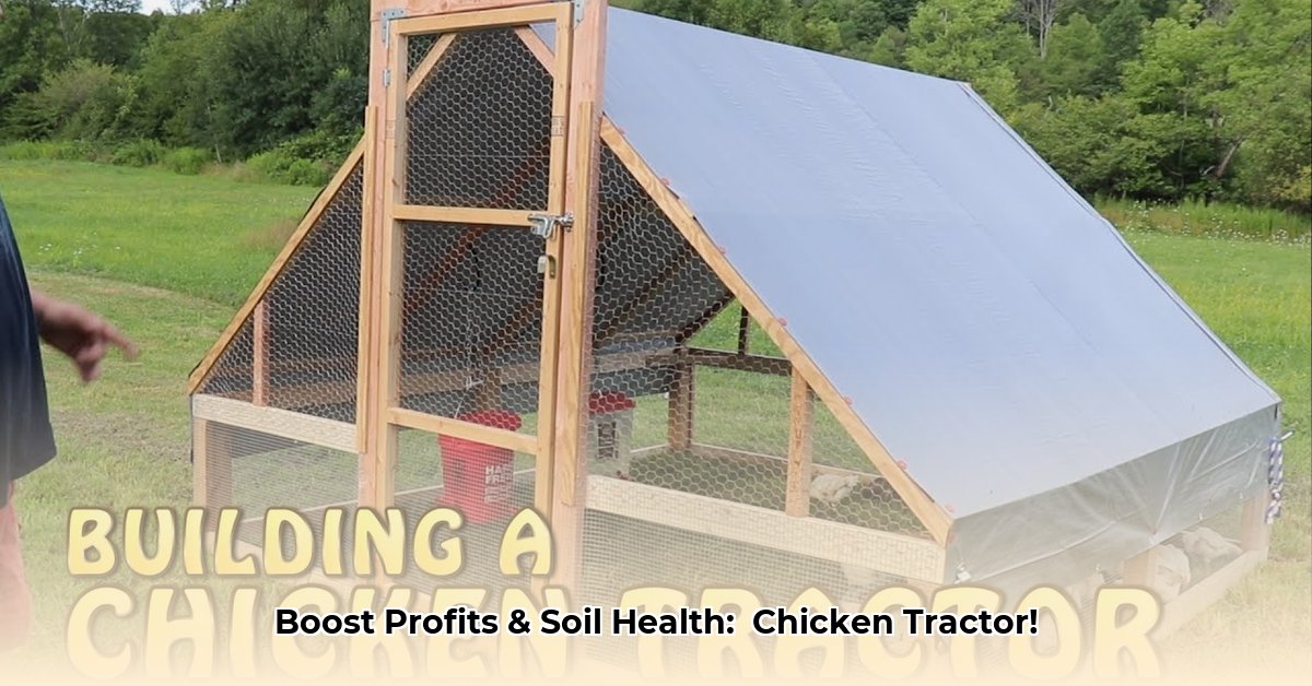 huge-chicken-tractor